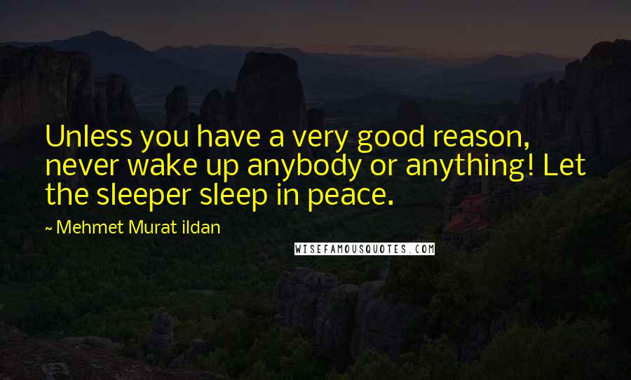 Mehmet Murat Ildan Quotes: Unless you have a very good reason, never wake up anybody or anything! Let the sleeper sleep in peace.