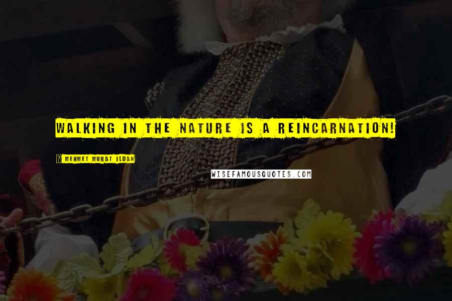 Mehmet Murat Ildan Quotes: Walking in the nature is a reincarnation!