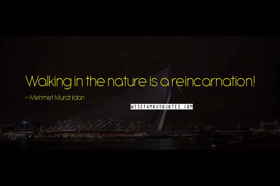Mehmet Murat Ildan Quotes: Walking in the nature is a reincarnation!