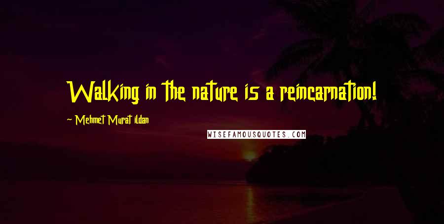 Mehmet Murat Ildan Quotes: Walking in the nature is a reincarnation!
