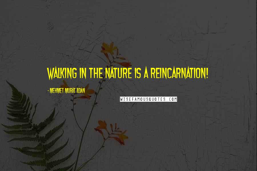 Mehmet Murat Ildan Quotes: Walking in the nature is a reincarnation!