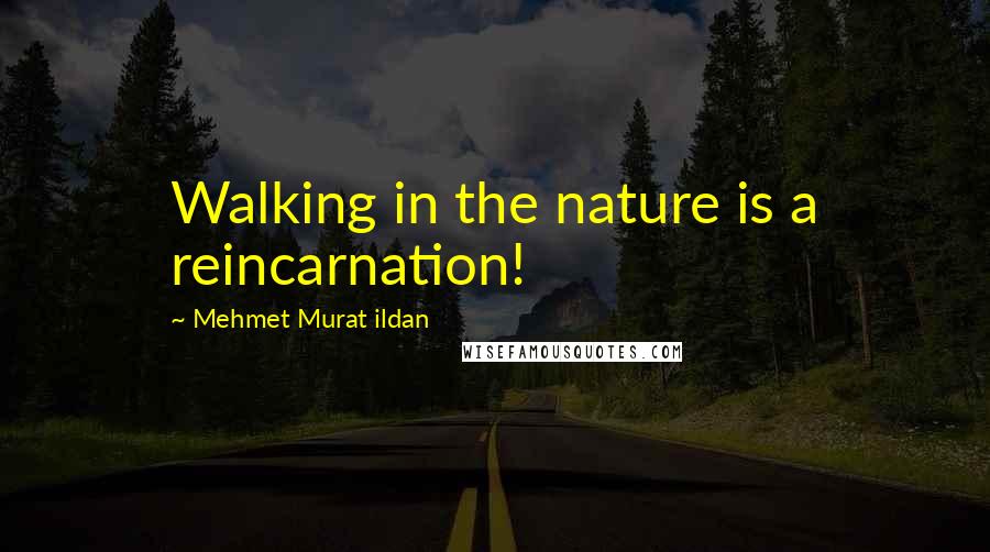 Mehmet Murat Ildan Quotes: Walking in the nature is a reincarnation!