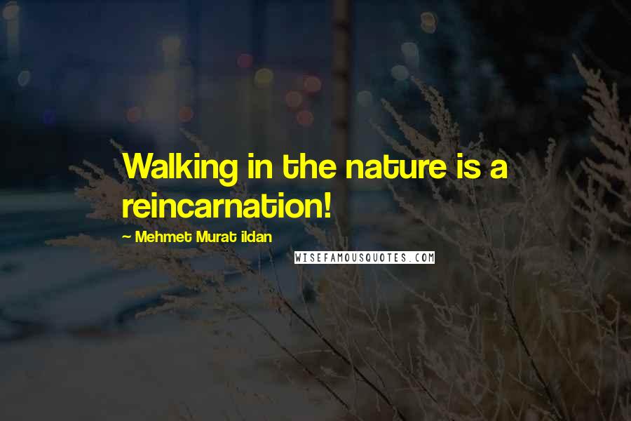 Mehmet Murat Ildan Quotes: Walking in the nature is a reincarnation!