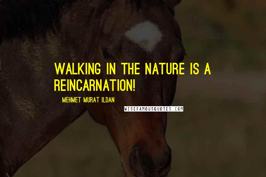 Mehmet Murat Ildan Quotes: Walking in the nature is a reincarnation!
