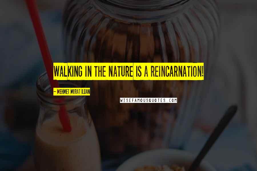 Mehmet Murat Ildan Quotes: Walking in the nature is a reincarnation!