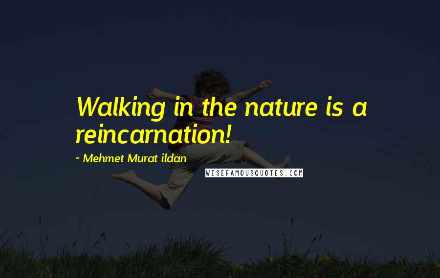 Mehmet Murat Ildan Quotes: Walking in the nature is a reincarnation!