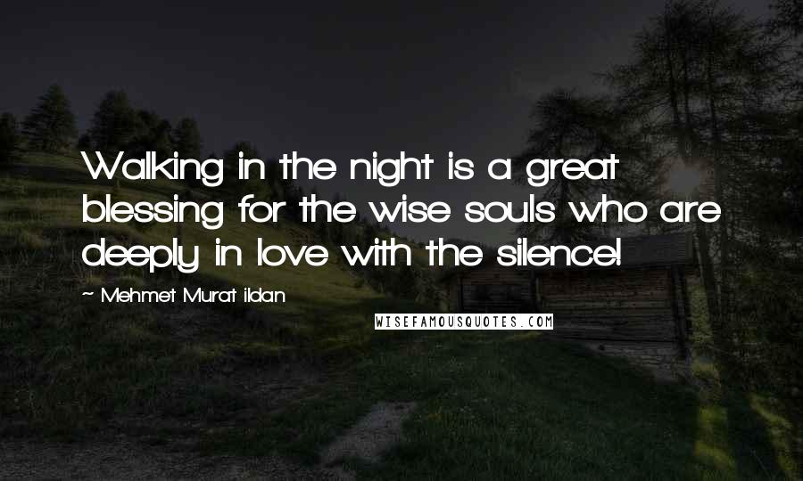 Mehmet Murat Ildan Quotes: Walking in the night is a great blessing for the wise souls who are deeply in love with the silence!