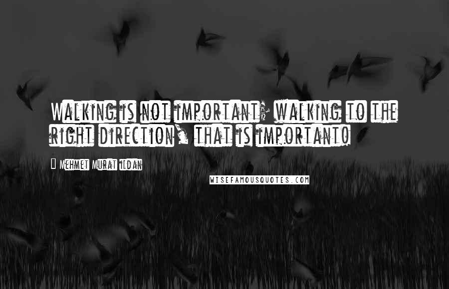 Mehmet Murat Ildan Quotes: Walking is not important; walking to the right direction, that is important!