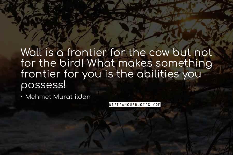 Mehmet Murat Ildan Quotes: Wall is a frontier for the cow but not for the bird! What makes something frontier for you is the abilities you possess!