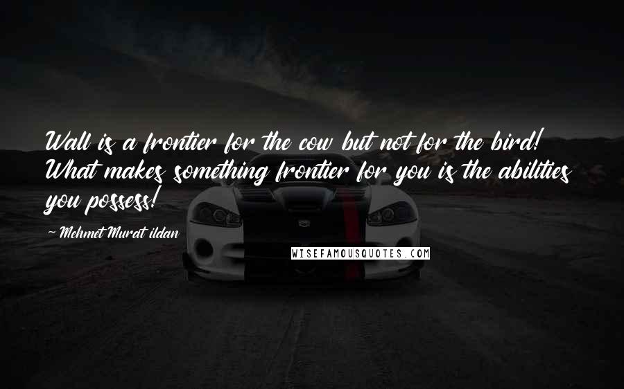 Mehmet Murat Ildan Quotes: Wall is a frontier for the cow but not for the bird! What makes something frontier for you is the abilities you possess!