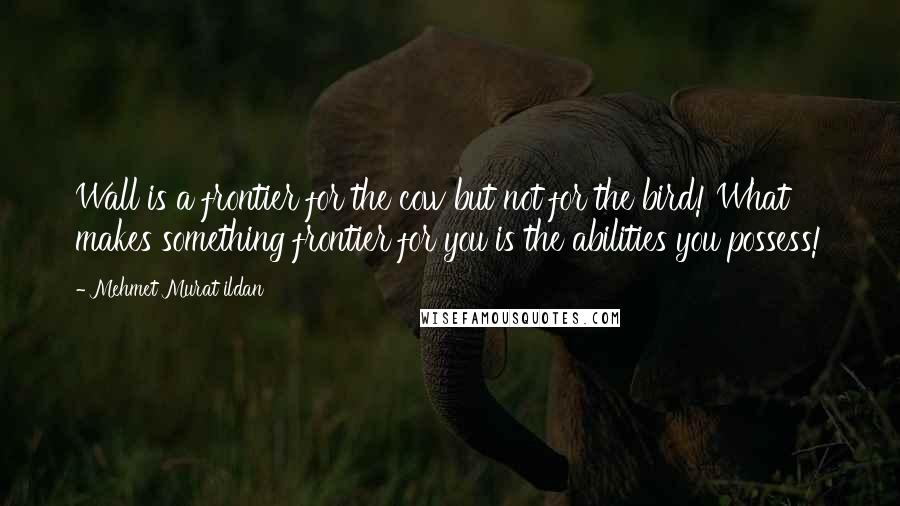 Mehmet Murat Ildan Quotes: Wall is a frontier for the cow but not for the bird! What makes something frontier for you is the abilities you possess!