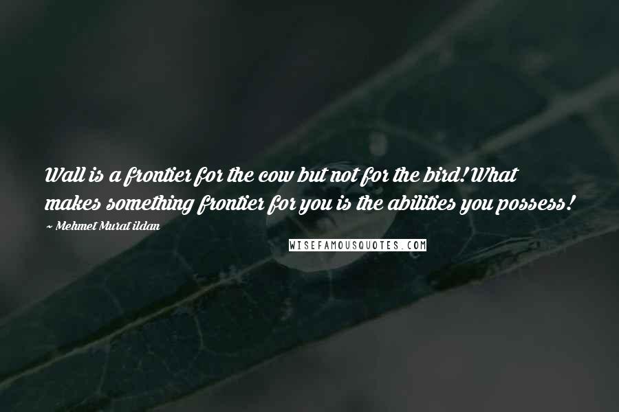 Mehmet Murat Ildan Quotes: Wall is a frontier for the cow but not for the bird! What makes something frontier for you is the abilities you possess!