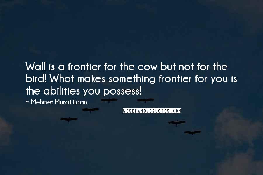 Mehmet Murat Ildan Quotes: Wall is a frontier for the cow but not for the bird! What makes something frontier for you is the abilities you possess!