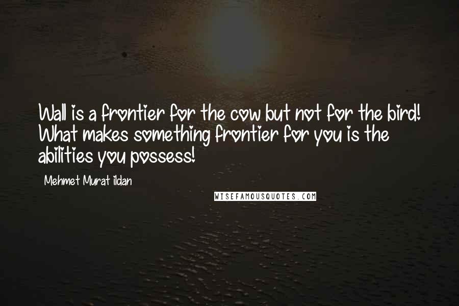 Mehmet Murat Ildan Quotes: Wall is a frontier for the cow but not for the bird! What makes something frontier for you is the abilities you possess!