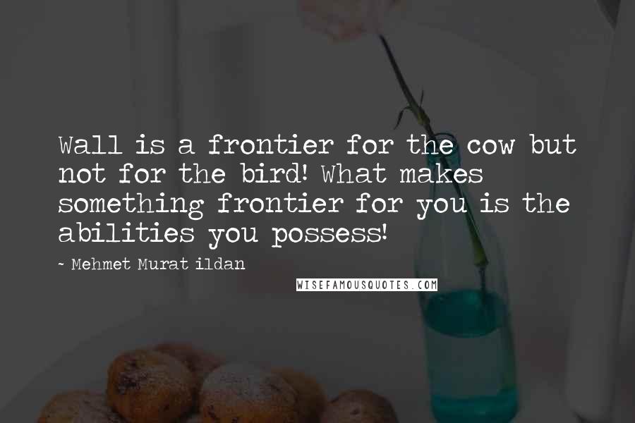 Mehmet Murat Ildan Quotes: Wall is a frontier for the cow but not for the bird! What makes something frontier for you is the abilities you possess!