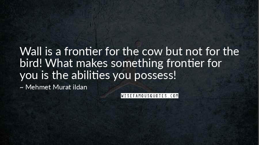 Mehmet Murat Ildan Quotes: Wall is a frontier for the cow but not for the bird! What makes something frontier for you is the abilities you possess!