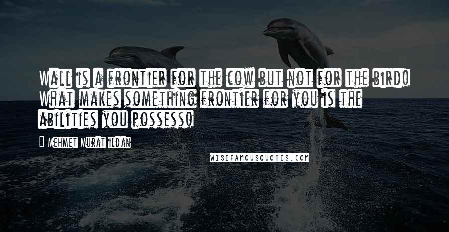 Mehmet Murat Ildan Quotes: Wall is a frontier for the cow but not for the bird! What makes something frontier for you is the abilities you possess!