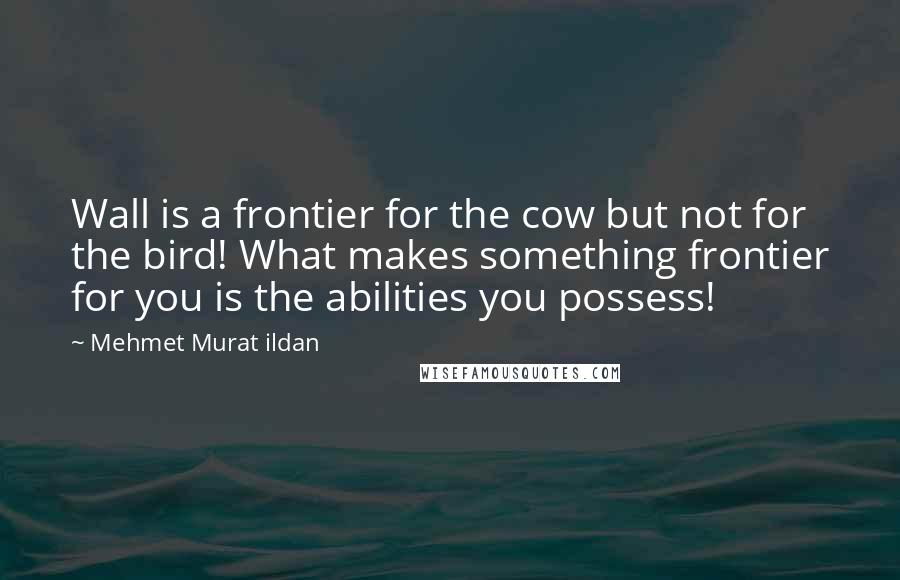 Mehmet Murat Ildan Quotes: Wall is a frontier for the cow but not for the bird! What makes something frontier for you is the abilities you possess!