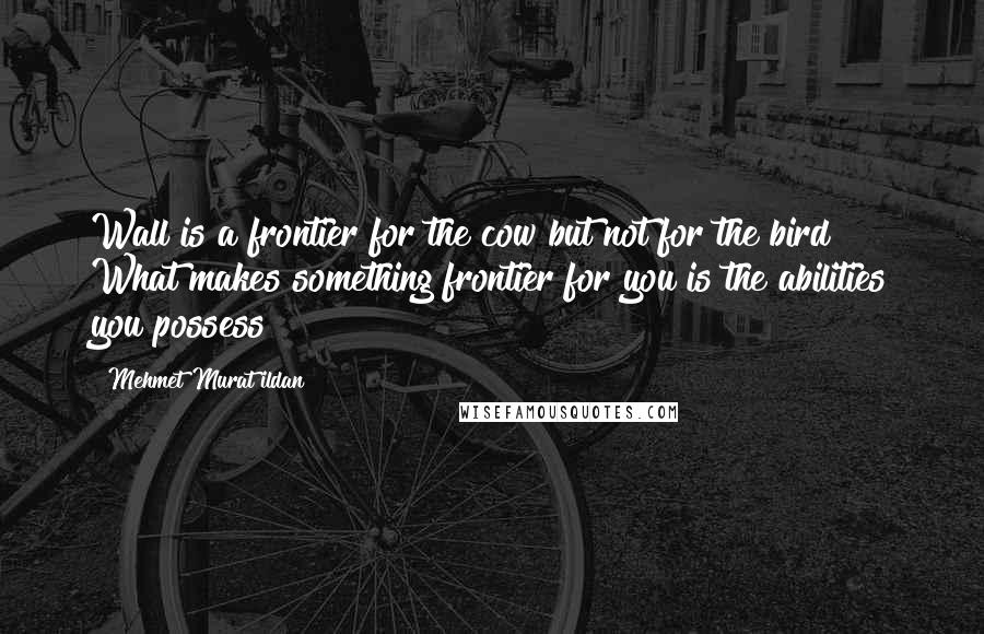 Mehmet Murat Ildan Quotes: Wall is a frontier for the cow but not for the bird! What makes something frontier for you is the abilities you possess!