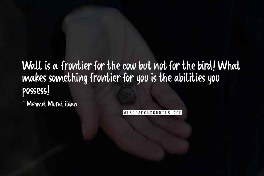 Mehmet Murat Ildan Quotes: Wall is a frontier for the cow but not for the bird! What makes something frontier for you is the abilities you possess!