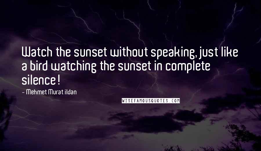 Mehmet Murat Ildan Quotes: Watch the sunset without speaking, just like a bird watching the sunset in complete silence!