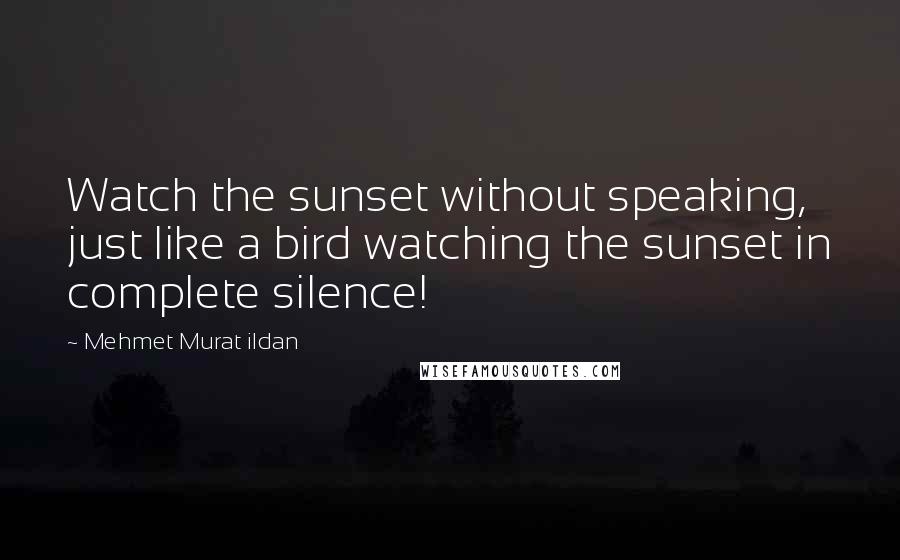 Mehmet Murat Ildan Quotes: Watch the sunset without speaking, just like a bird watching the sunset in complete silence!