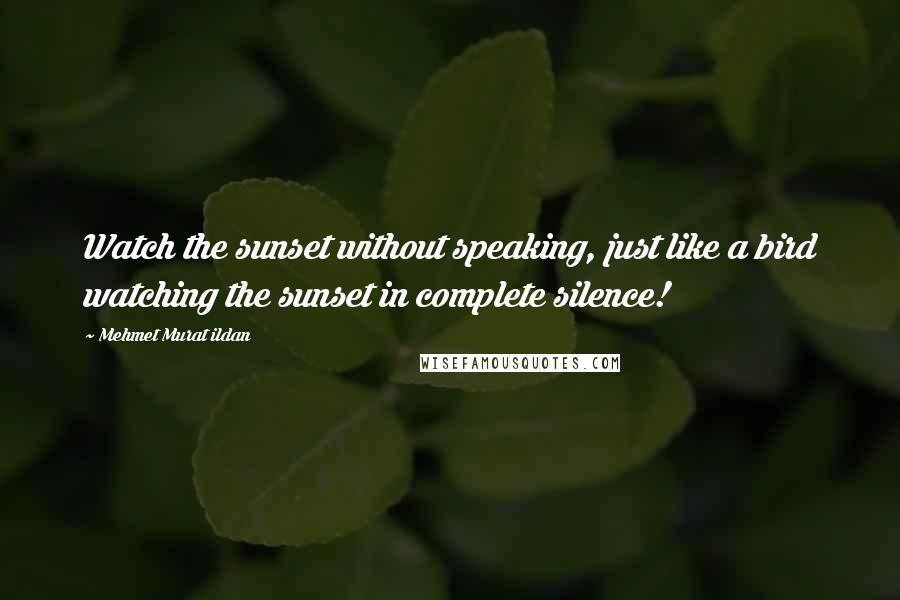Mehmet Murat Ildan Quotes: Watch the sunset without speaking, just like a bird watching the sunset in complete silence!