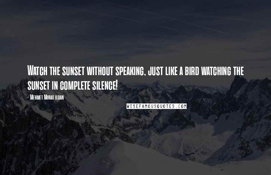 Mehmet Murat Ildan Quotes: Watch the sunset without speaking, just like a bird watching the sunset in complete silence!