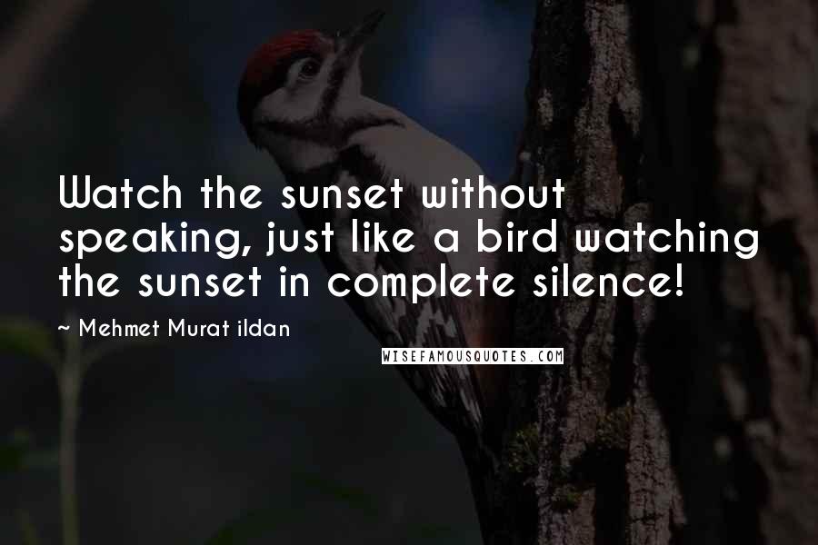 Mehmet Murat Ildan Quotes: Watch the sunset without speaking, just like a bird watching the sunset in complete silence!
