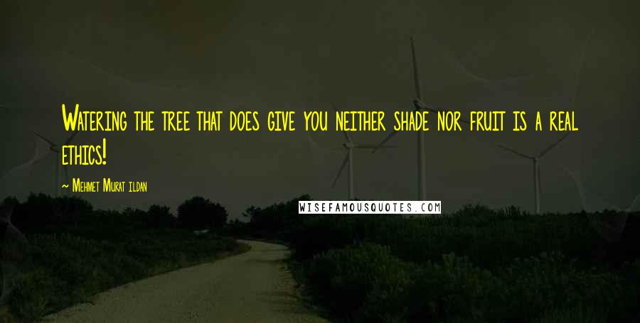 Mehmet Murat Ildan Quotes: Watering the tree that does give you neither shade nor fruit is a real ethics!