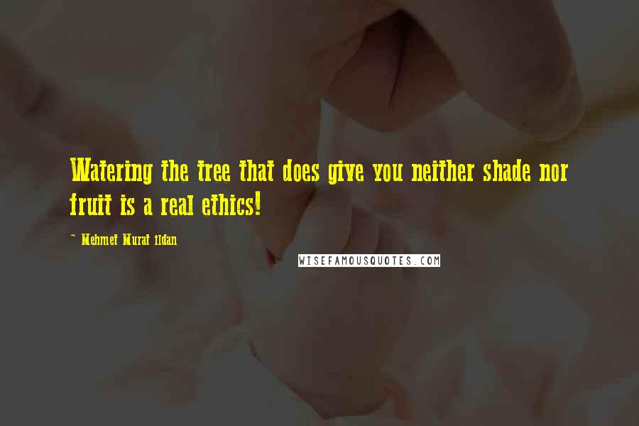 Mehmet Murat Ildan Quotes: Watering the tree that does give you neither shade nor fruit is a real ethics!