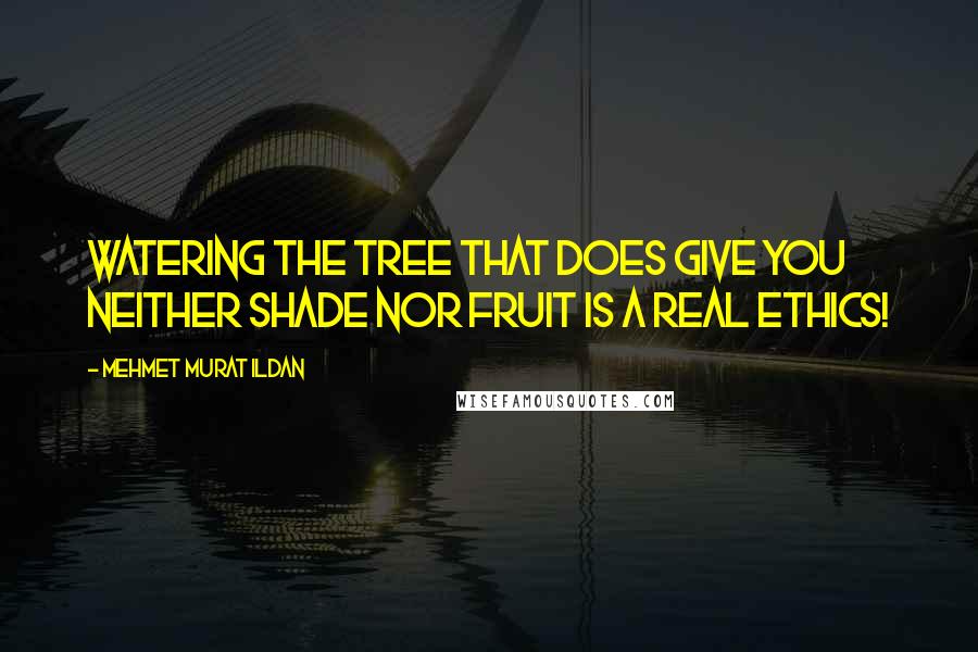 Mehmet Murat Ildan Quotes: Watering the tree that does give you neither shade nor fruit is a real ethics!