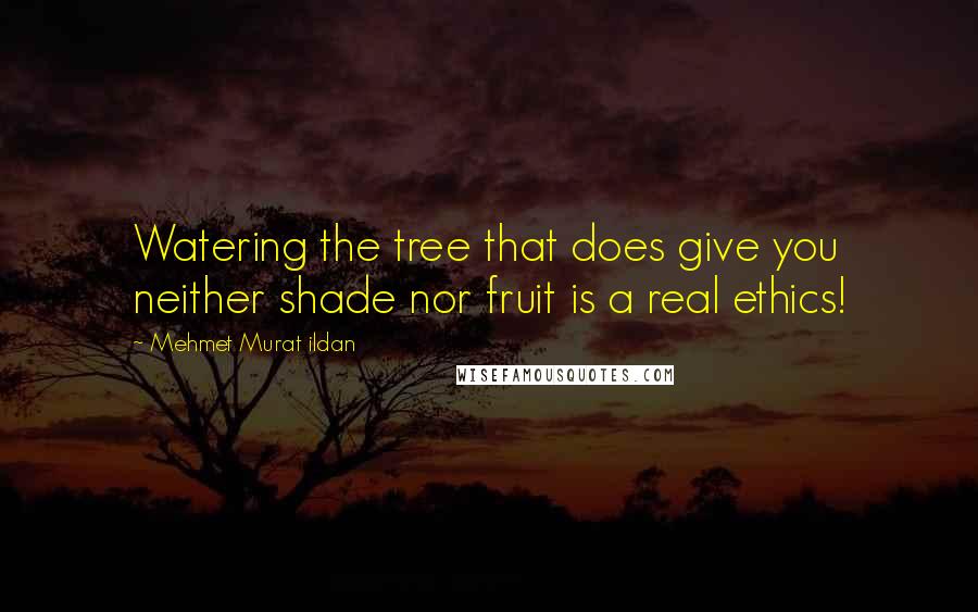 Mehmet Murat Ildan Quotes: Watering the tree that does give you neither shade nor fruit is a real ethics!