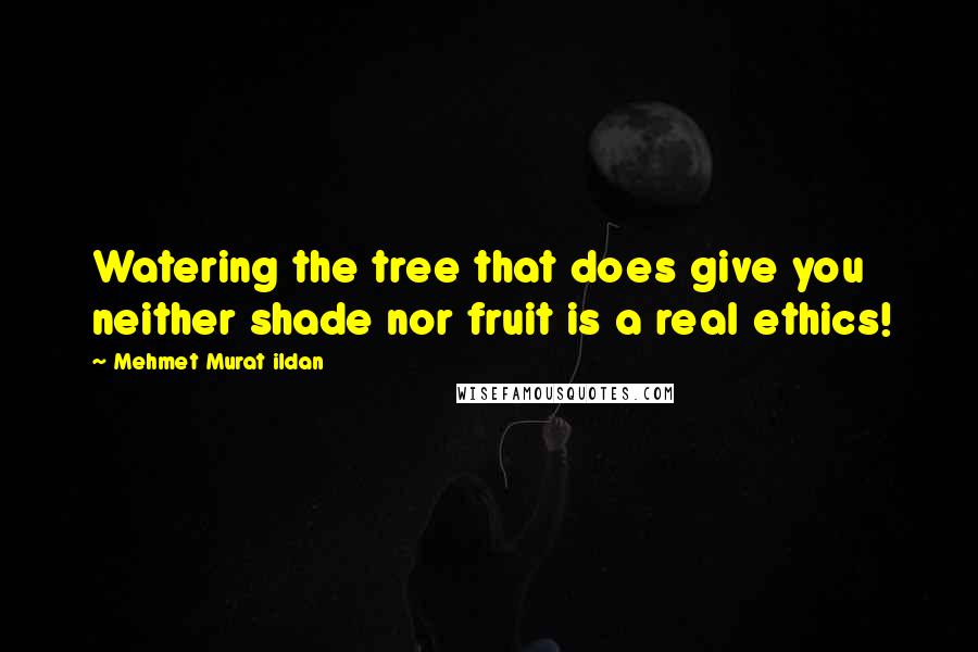 Mehmet Murat Ildan Quotes: Watering the tree that does give you neither shade nor fruit is a real ethics!