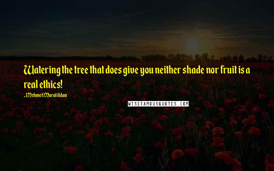 Mehmet Murat Ildan Quotes: Watering the tree that does give you neither shade nor fruit is a real ethics!