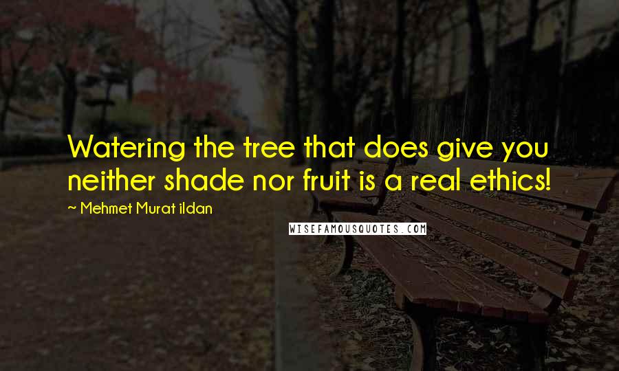 Mehmet Murat Ildan Quotes: Watering the tree that does give you neither shade nor fruit is a real ethics!