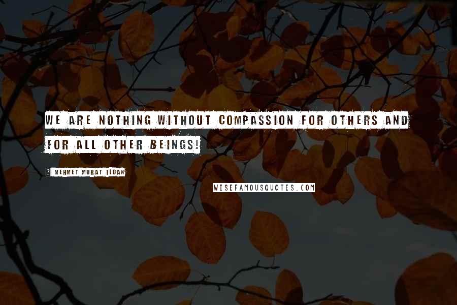 Mehmet Murat Ildan Quotes: We are nothing without compassion for others and for all other beings!