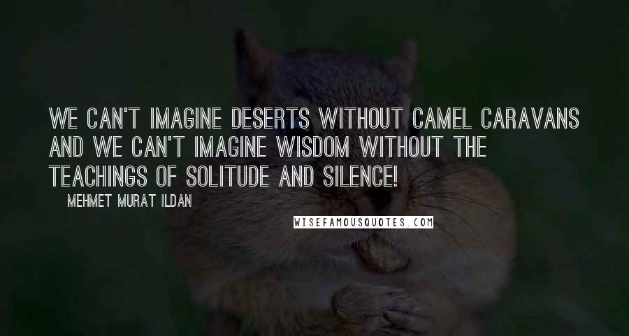 Mehmet Murat Ildan Quotes: We can't imagine deserts without camel caravans and we can't imagine wisdom without the teachings of solitude and silence!