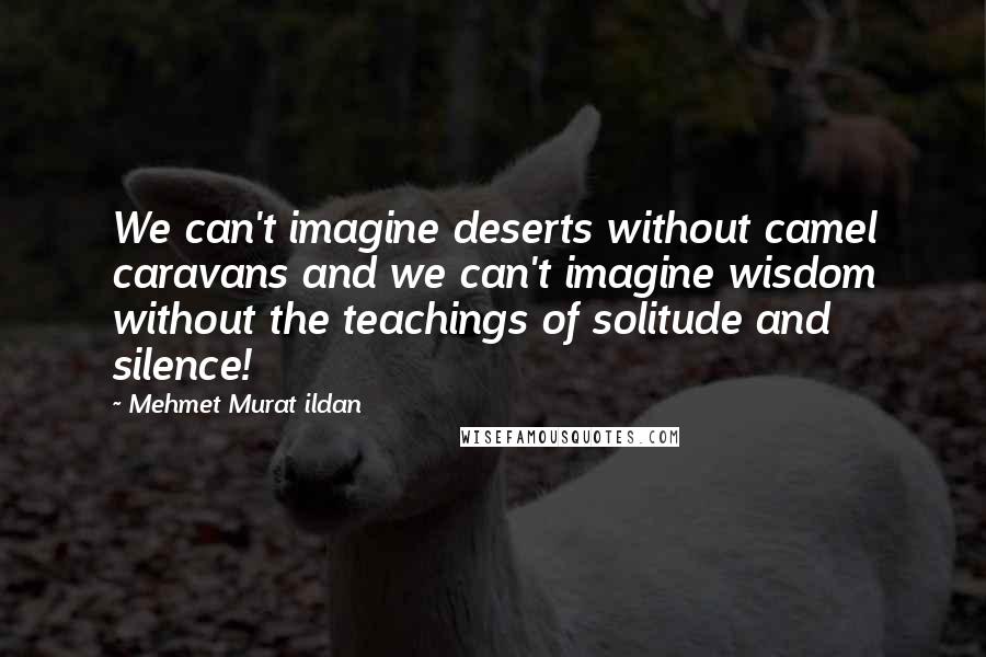Mehmet Murat Ildan Quotes: We can't imagine deserts without camel caravans and we can't imagine wisdom without the teachings of solitude and silence!