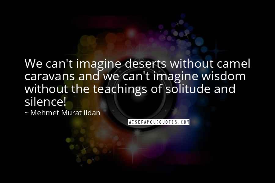 Mehmet Murat Ildan Quotes: We can't imagine deserts without camel caravans and we can't imagine wisdom without the teachings of solitude and silence!