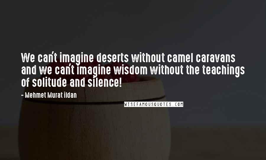 Mehmet Murat Ildan Quotes: We can't imagine deserts without camel caravans and we can't imagine wisdom without the teachings of solitude and silence!