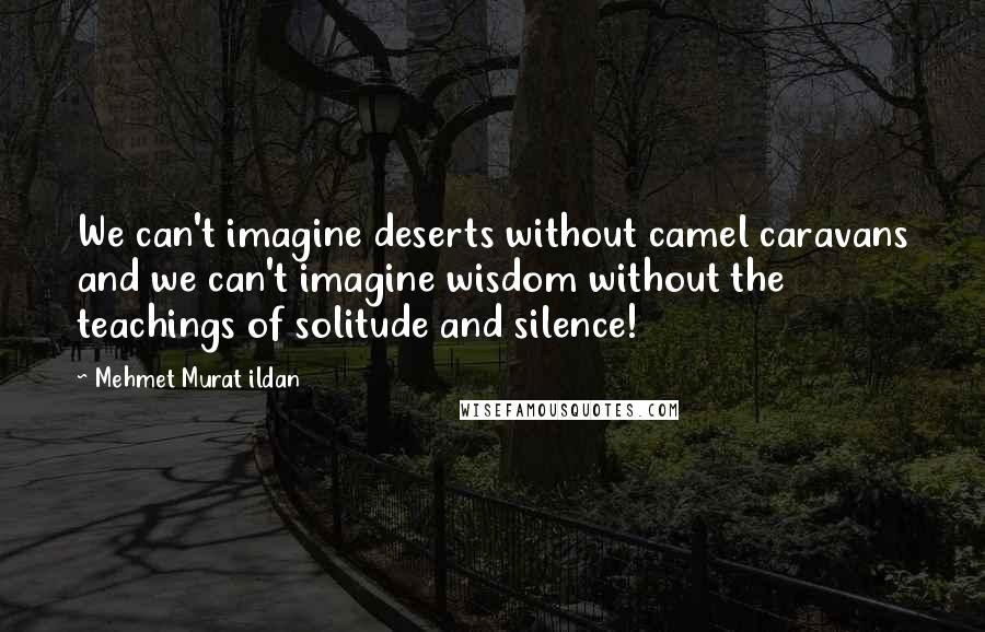 Mehmet Murat Ildan Quotes: We can't imagine deserts without camel caravans and we can't imagine wisdom without the teachings of solitude and silence!