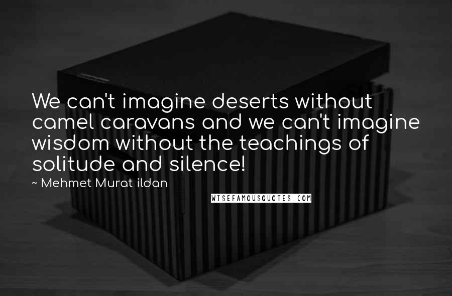 Mehmet Murat Ildan Quotes: We can't imagine deserts without camel caravans and we can't imagine wisdom without the teachings of solitude and silence!