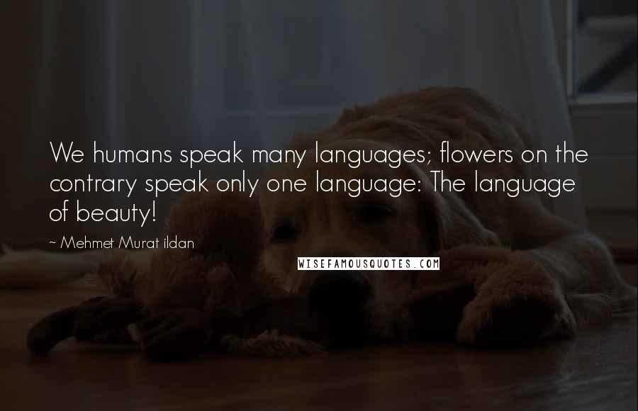 Mehmet Murat Ildan Quotes: We humans speak many languages; flowers on the contrary speak only one language: The language of beauty!