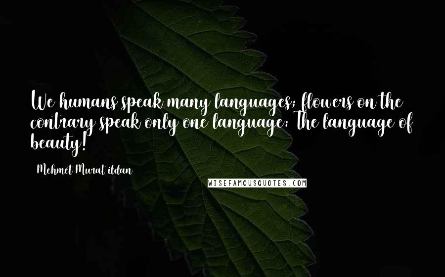 Mehmet Murat Ildan Quotes: We humans speak many languages; flowers on the contrary speak only one language: The language of beauty!