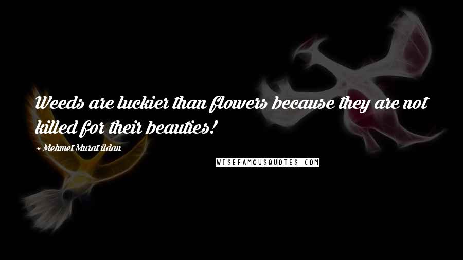 Mehmet Murat Ildan Quotes: Weeds are luckier than flowers because they are not killed for their beauties!