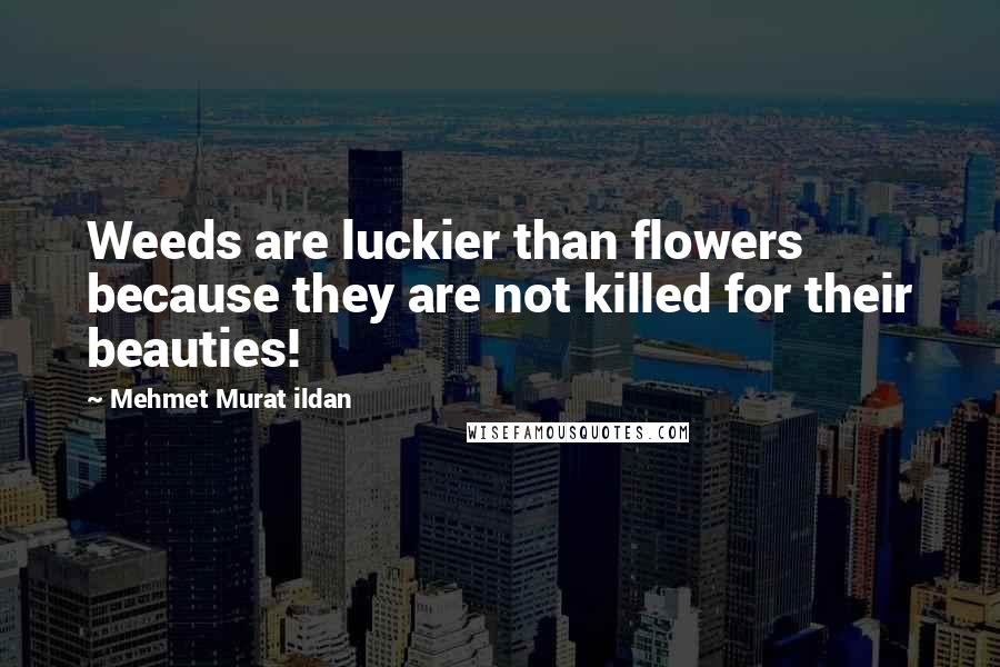 Mehmet Murat Ildan Quotes: Weeds are luckier than flowers because they are not killed for their beauties!