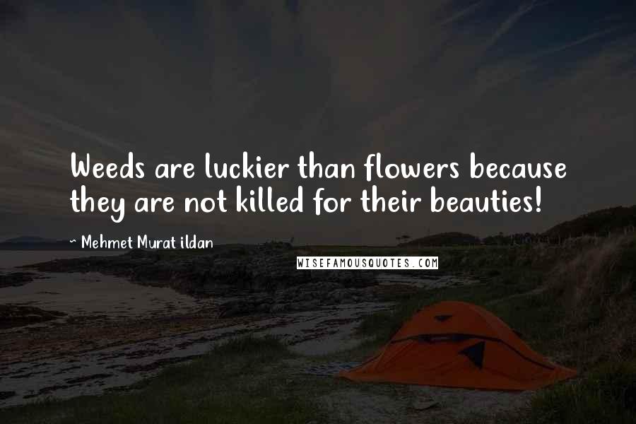 Mehmet Murat Ildan Quotes: Weeds are luckier than flowers because they are not killed for their beauties!