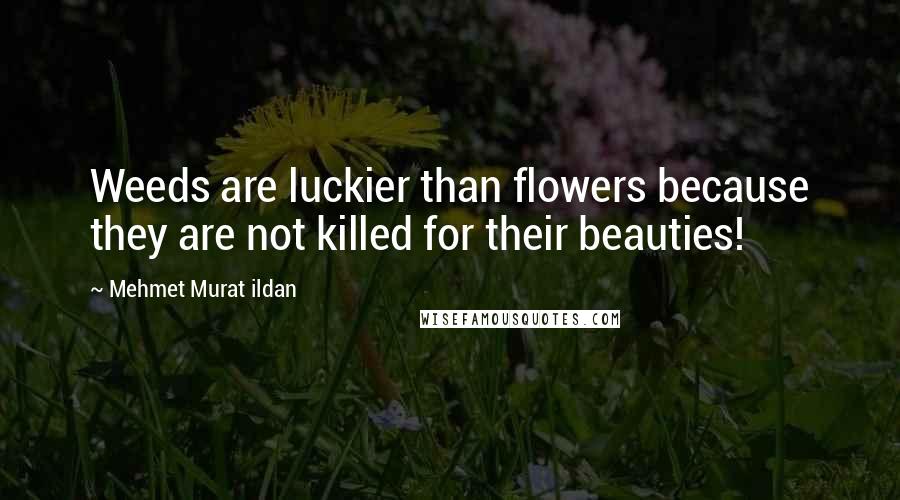 Mehmet Murat Ildan Quotes: Weeds are luckier than flowers because they are not killed for their beauties!