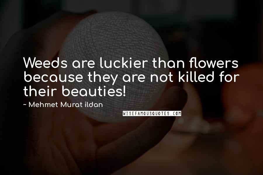 Mehmet Murat Ildan Quotes: Weeds are luckier than flowers because they are not killed for their beauties!